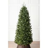 Balsam Hill Fraser Fir Narrow Artificial Christmas Tree. Item May Be Incomplete, Viewing is advised.