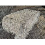 30 x 2023 Hay Bales (570KG Per Bale) - (Norfolk)