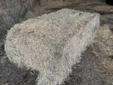 30 x 2023 Hay Bales (570KG Per Bale) - (Norfolk)