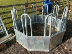Ritchie Tombstone Ring Feeder - (Cambridgeshire)