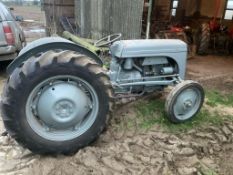 Grey Ferguson - (Norfolk)