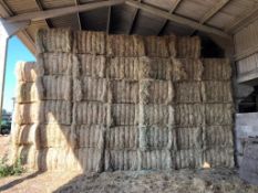 76 x 2023 Hay Bales (400kg Per Bale) - (Norfolk)