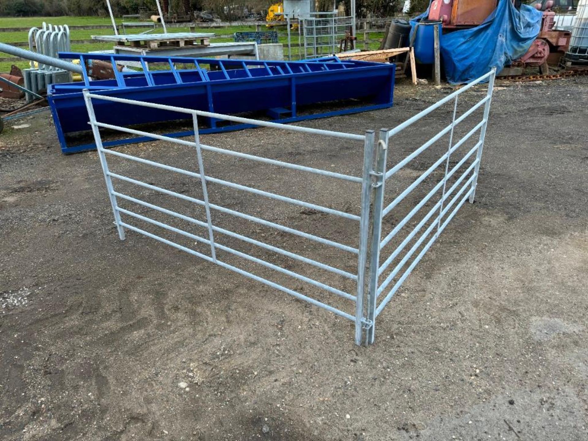 4No. Ritchie 1.8m Sheep Hurdles - (Cambridgeshire)