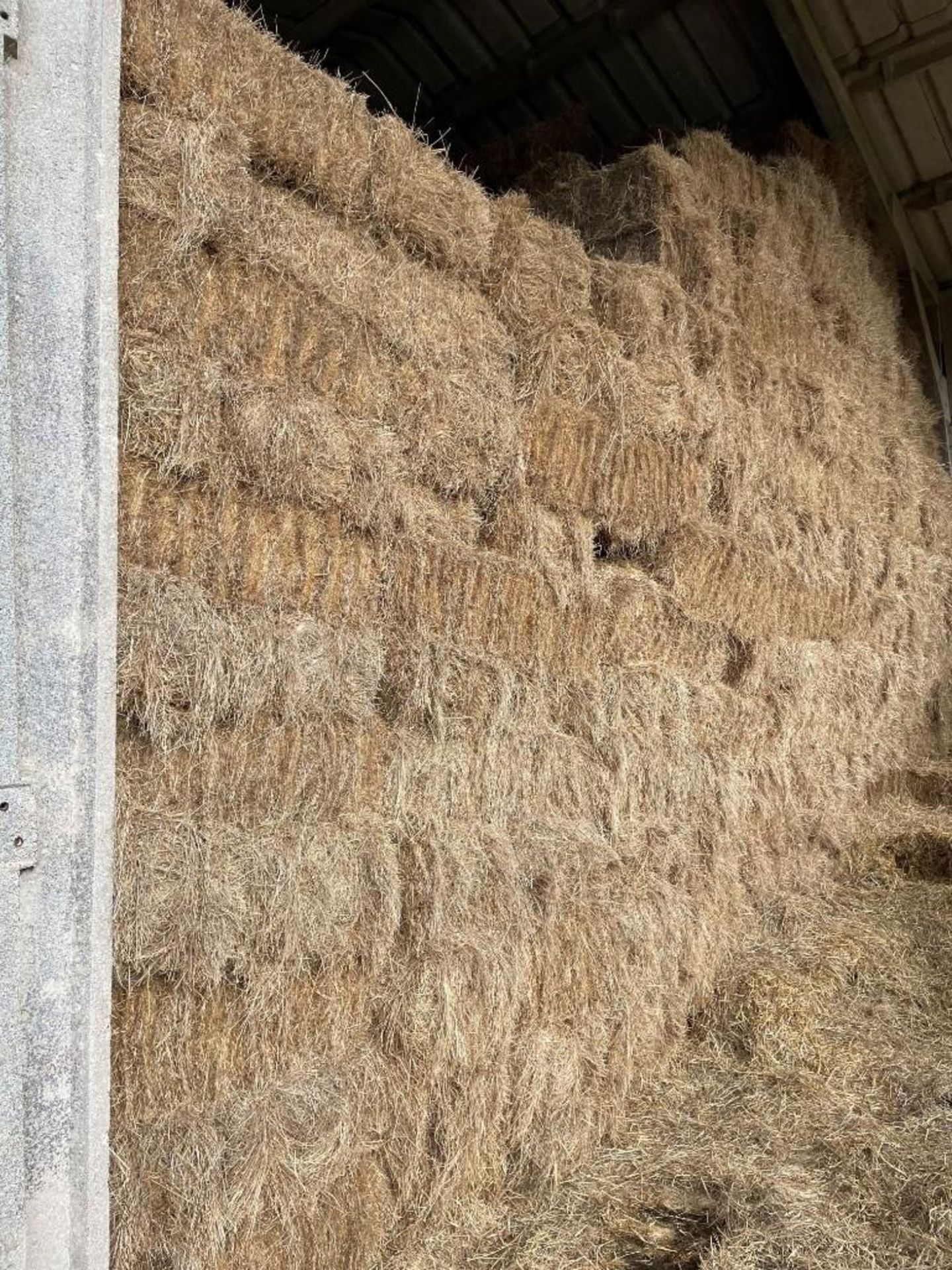1000No. Conventional Bales - (Suffolk) - Image 2 of 4