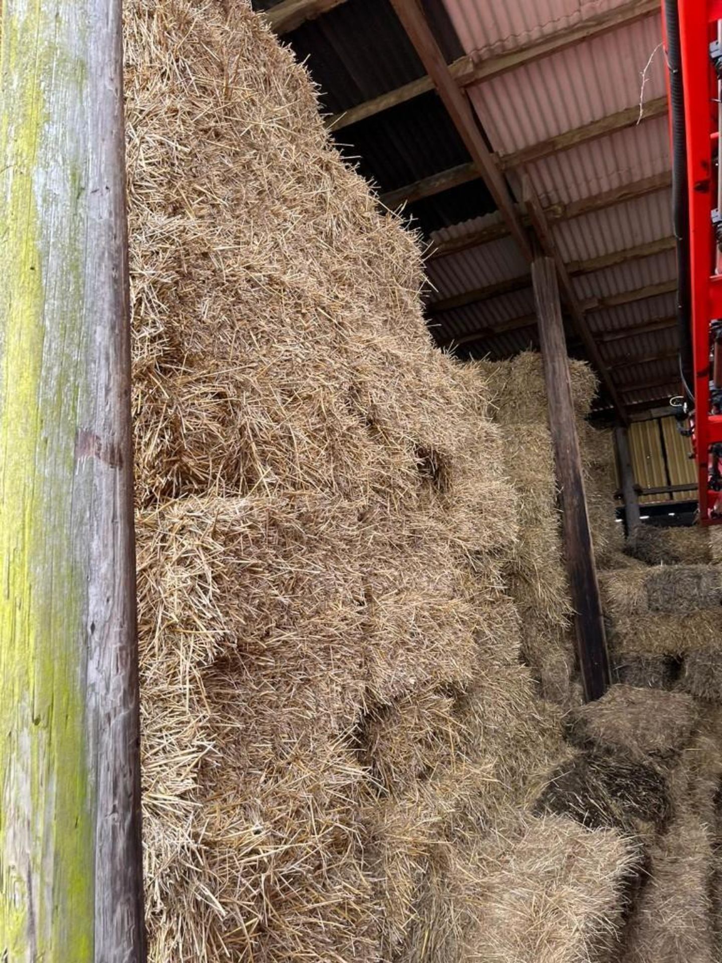 2023 300No. Conventional Straw Bales - (Cambridgeshire) - Bild 3 aus 3