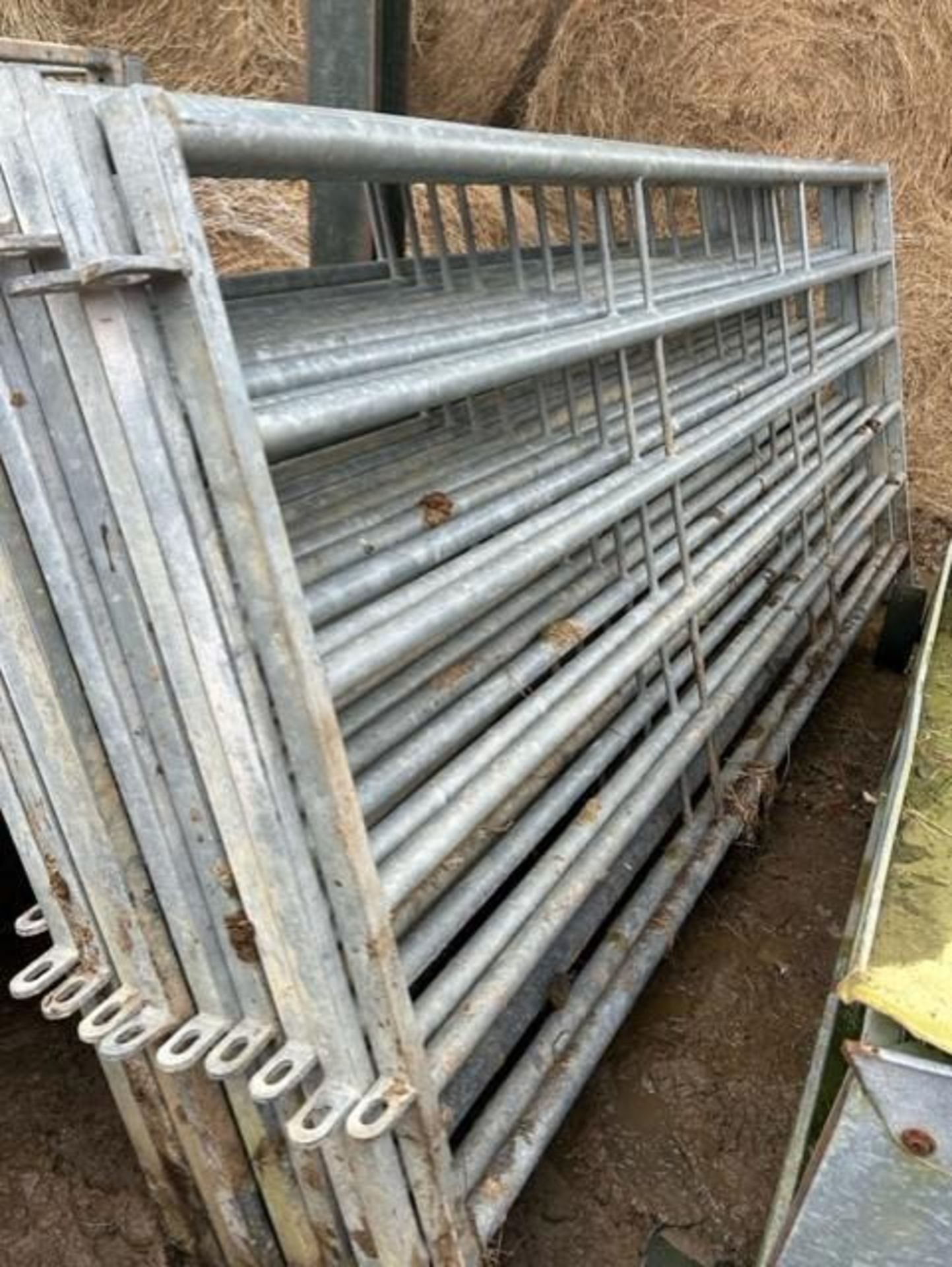 10No. 3m x 1.5m Cattle Hurdles