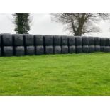 2023 100No. Haylage Bales - (Norfolk)