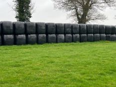 2023 100No. Haylage Bales - (Norfolk)