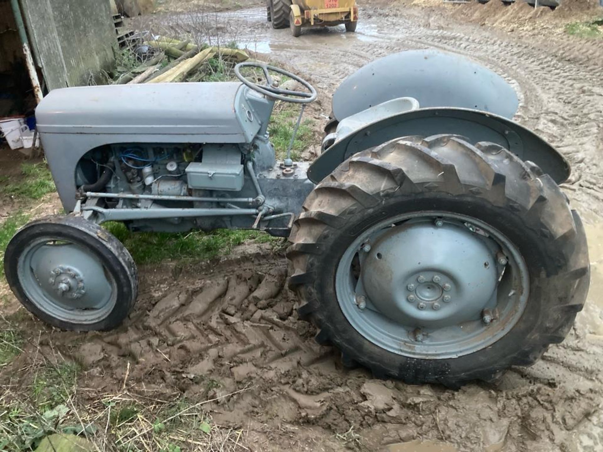 1950 Grey Ferguson - (Norfolk)