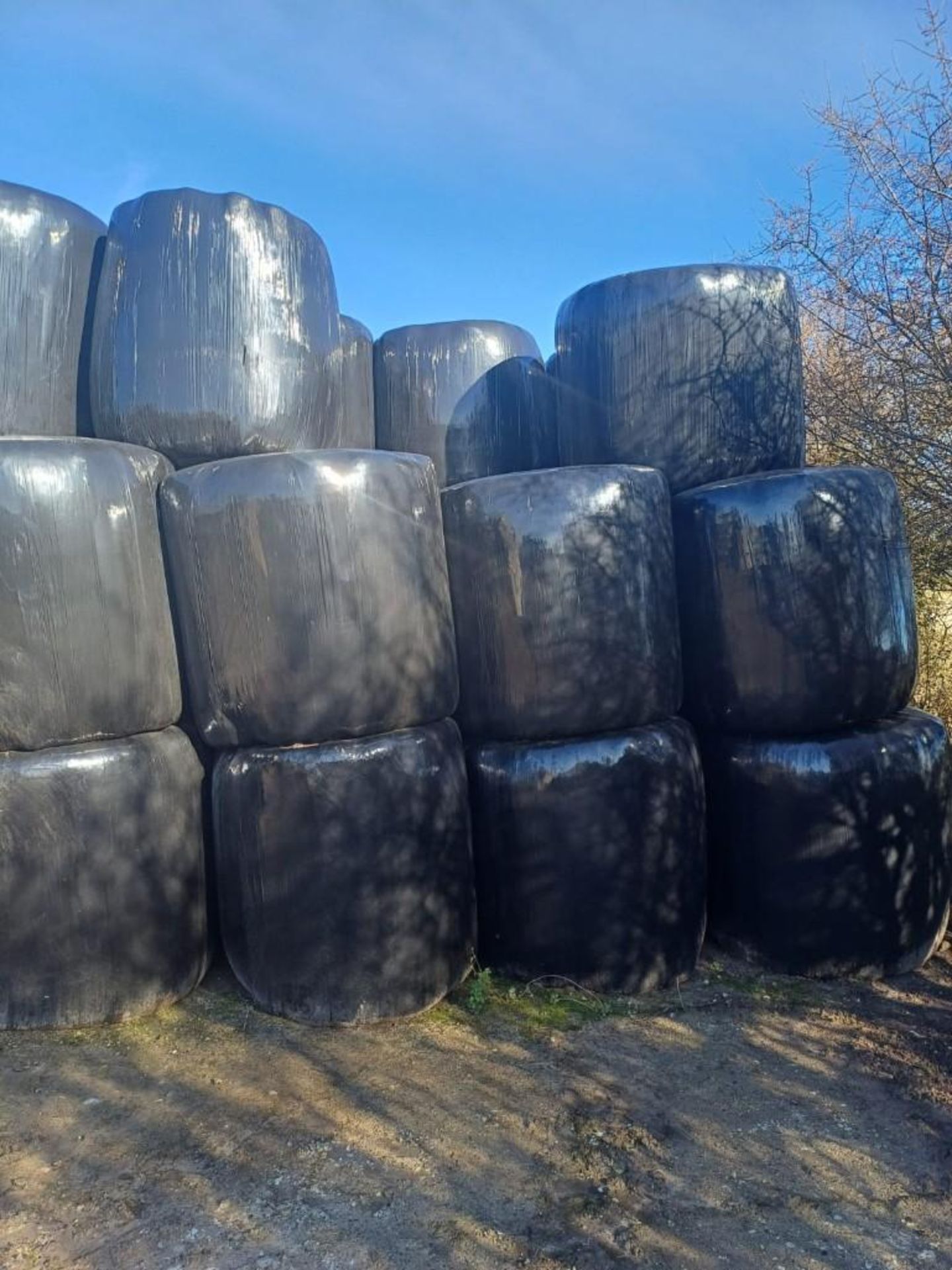 2023 40No. Bales Grass Silage - (Norfolk)