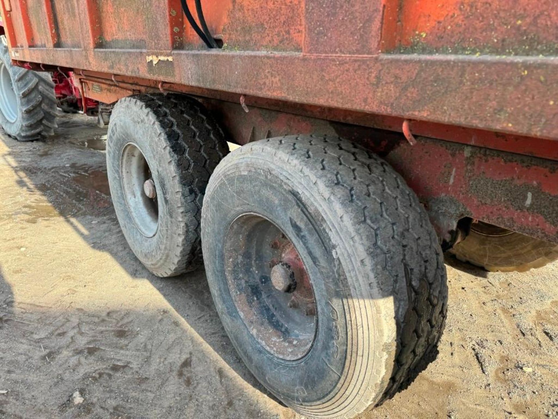 1991 Bailey 14T Root Trailer - (Suffolk) - Image 8 of 11