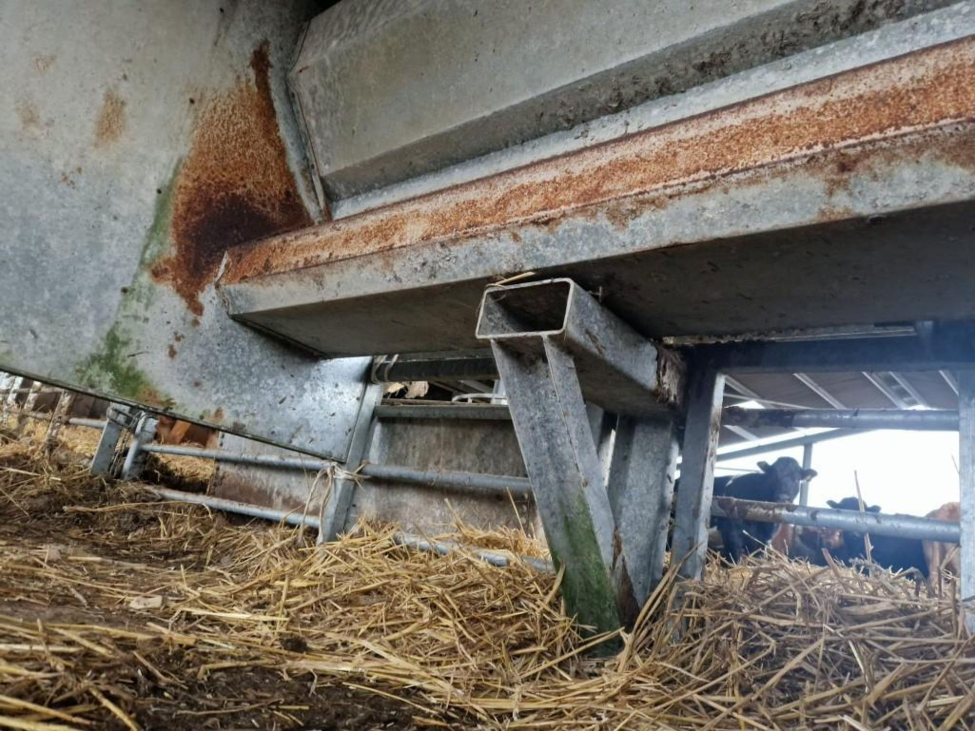 LM Bateman 8Ft Calf Creep Feeder - (Suffolk) - Image 12 of 14