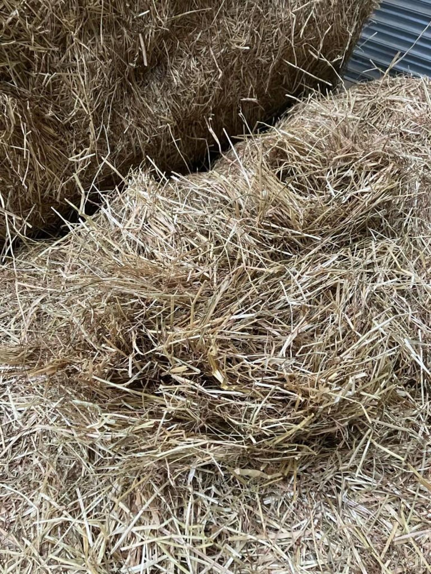 2023 27No. Haylage Bales (16.2T) - (Norfolk) - Image 5 of 5