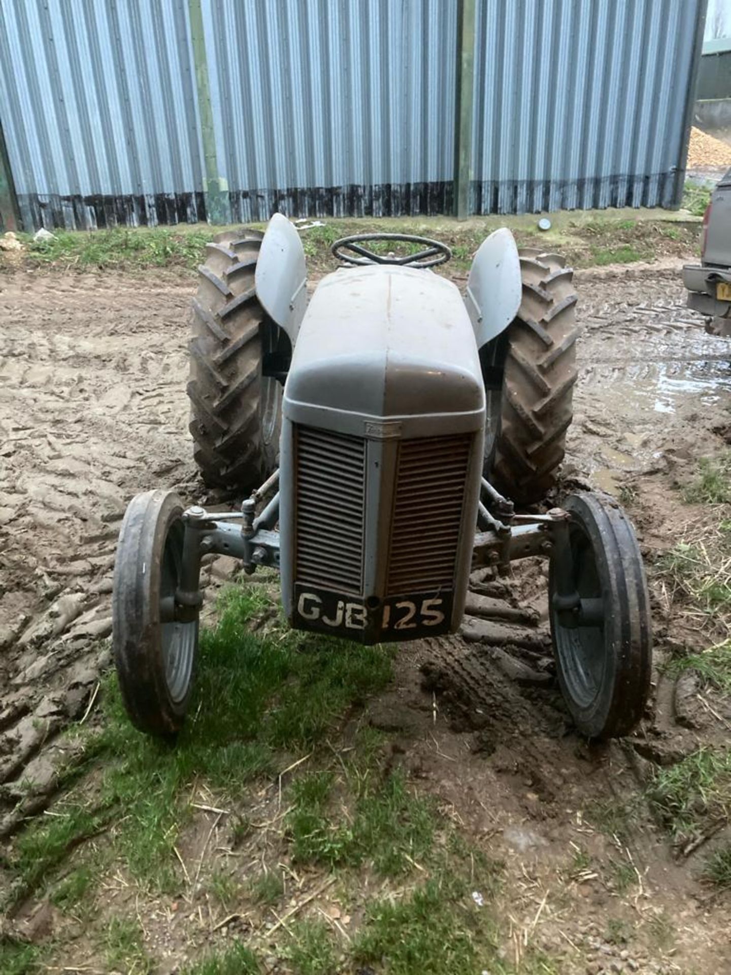 1950 Grey Ferguson - (Norfolk) - Image 3 of 4