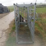 2015 IAE Quick Weigh Cattle Crush - (Wiltshire)