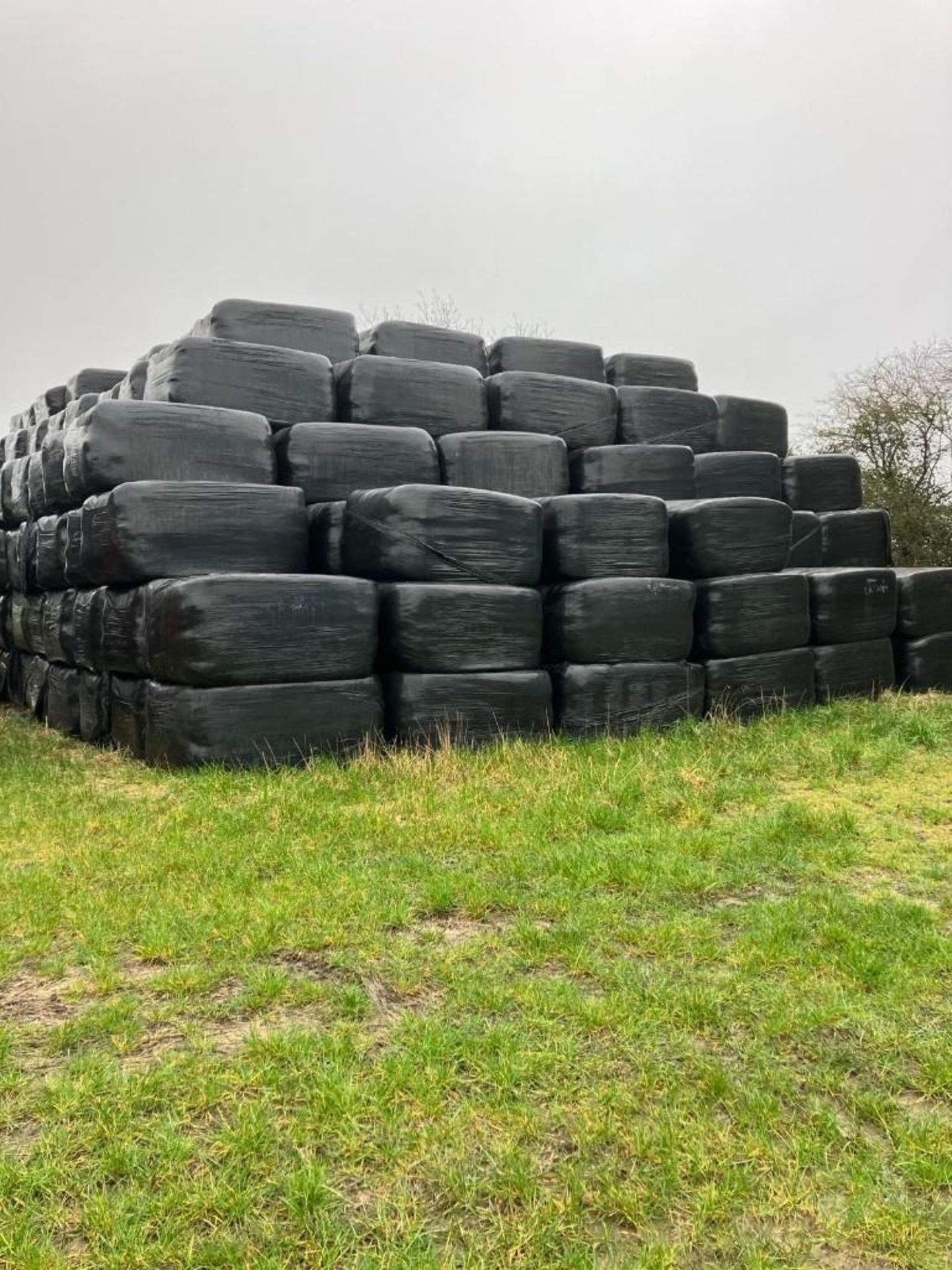 2023 27No. Haylage Bales (16.2T) - (Norfolk) - Image 2 of 5