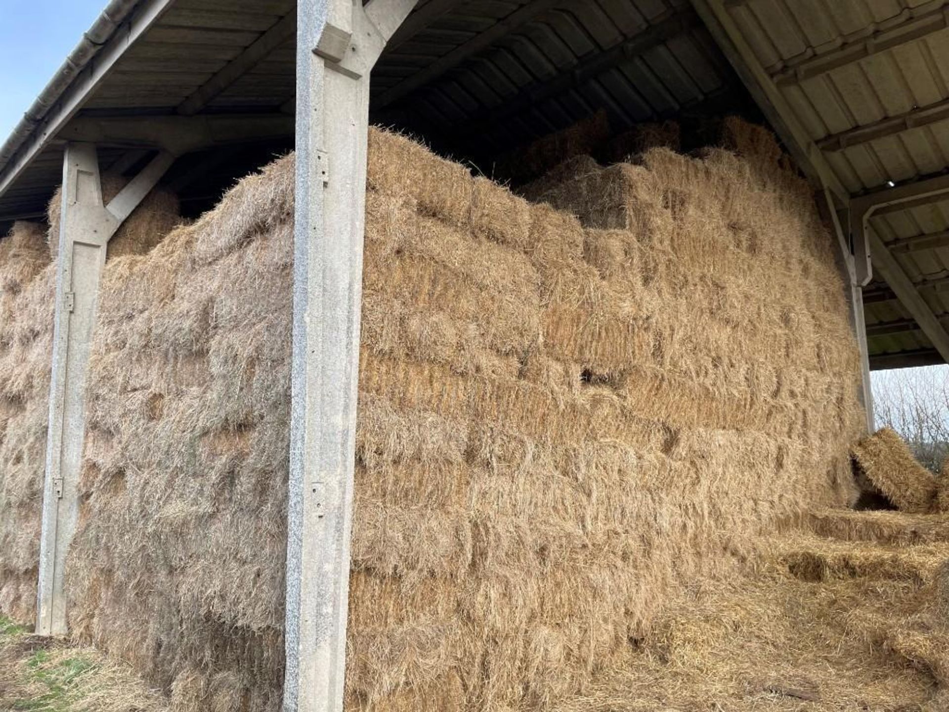 1000No. Conventional Bales - (Suffolk) - Image 4 of 4