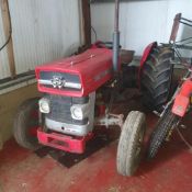 Massey Ferguson 135 - (Suffolk)