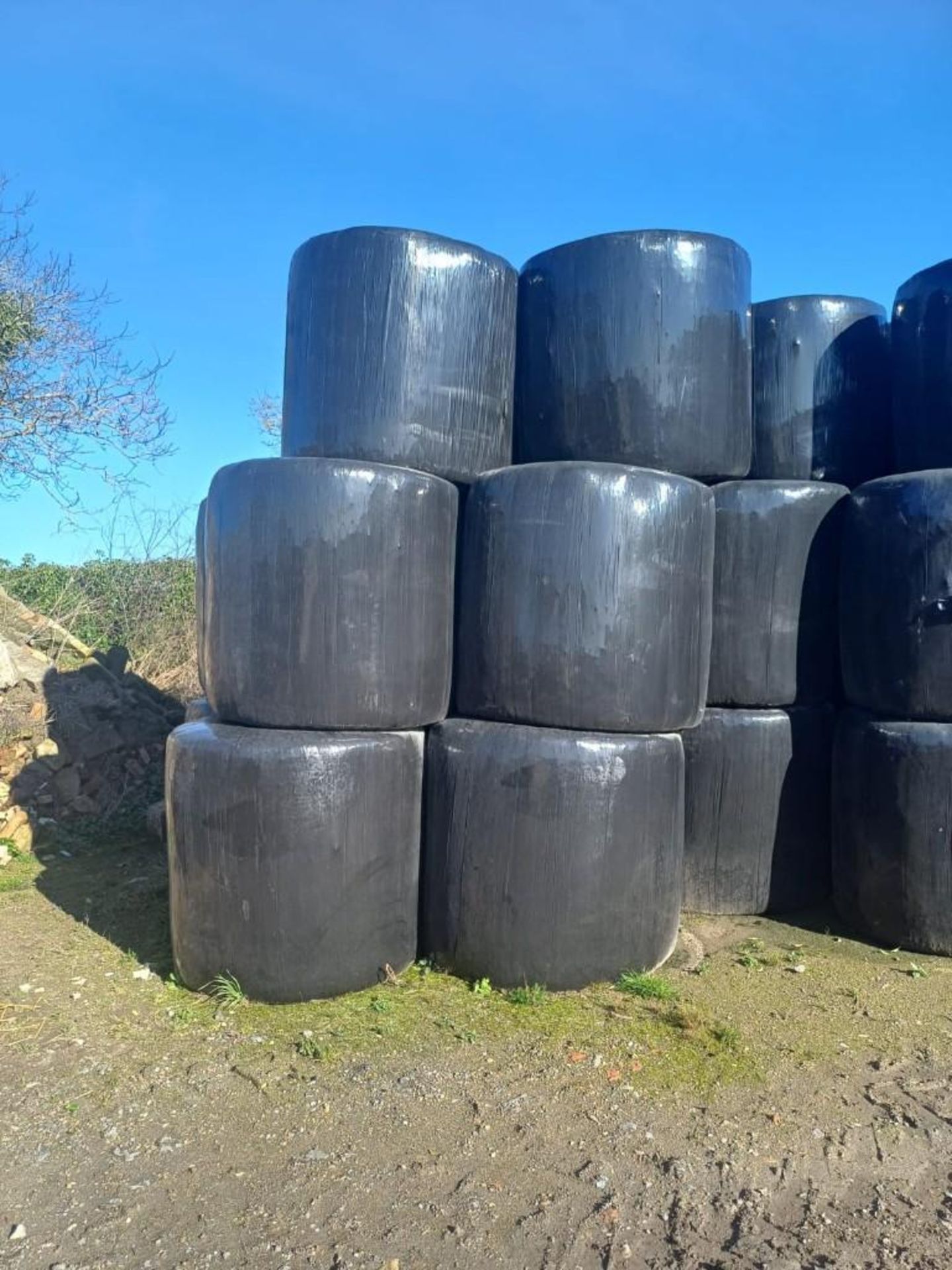 2023 40No. Bales Sanfoin Silage - (Norfolk)