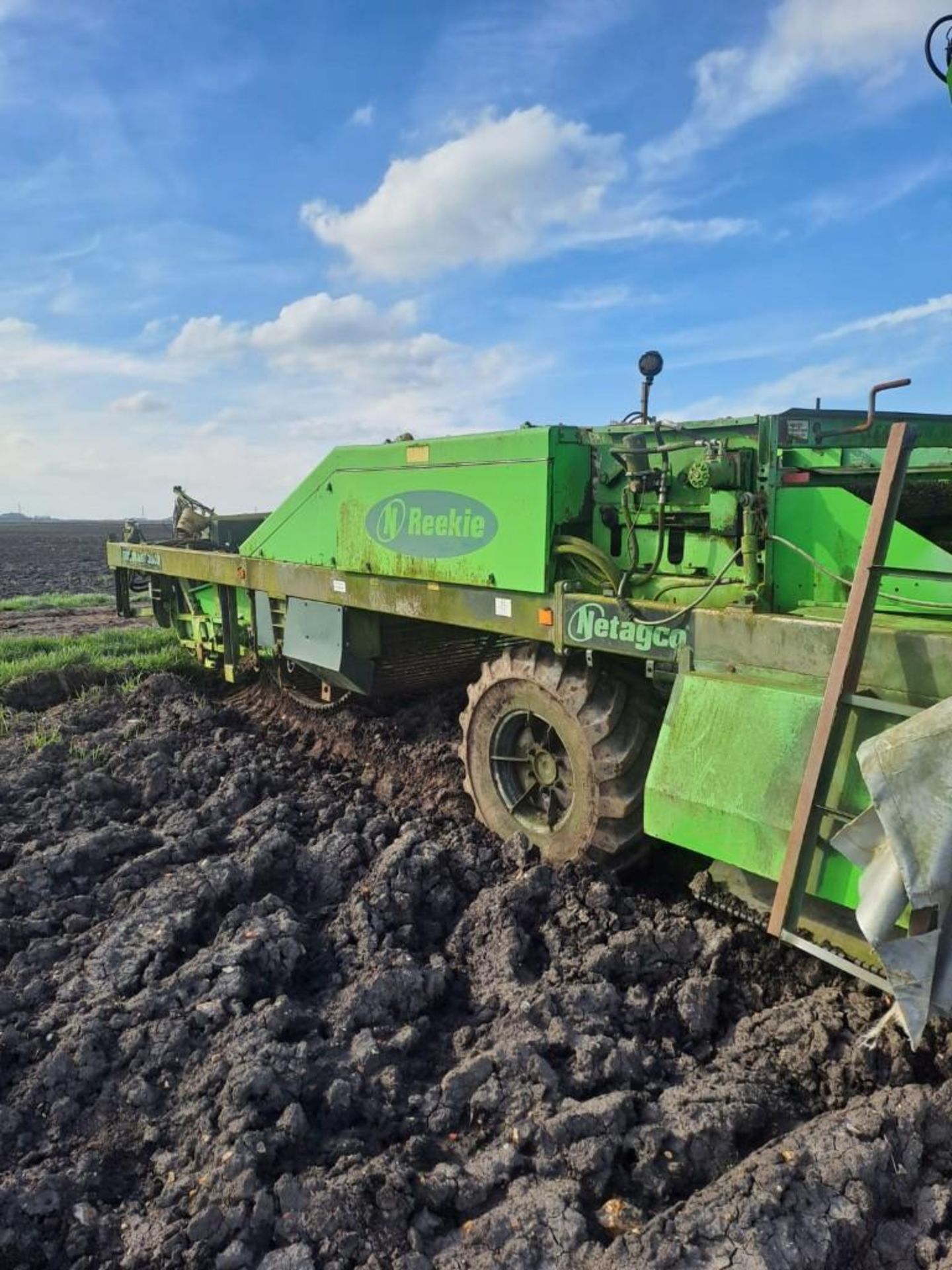 2001 Reekie Dominant 3000 Potato Harvester - (Norfolk) - Image 16 of 16