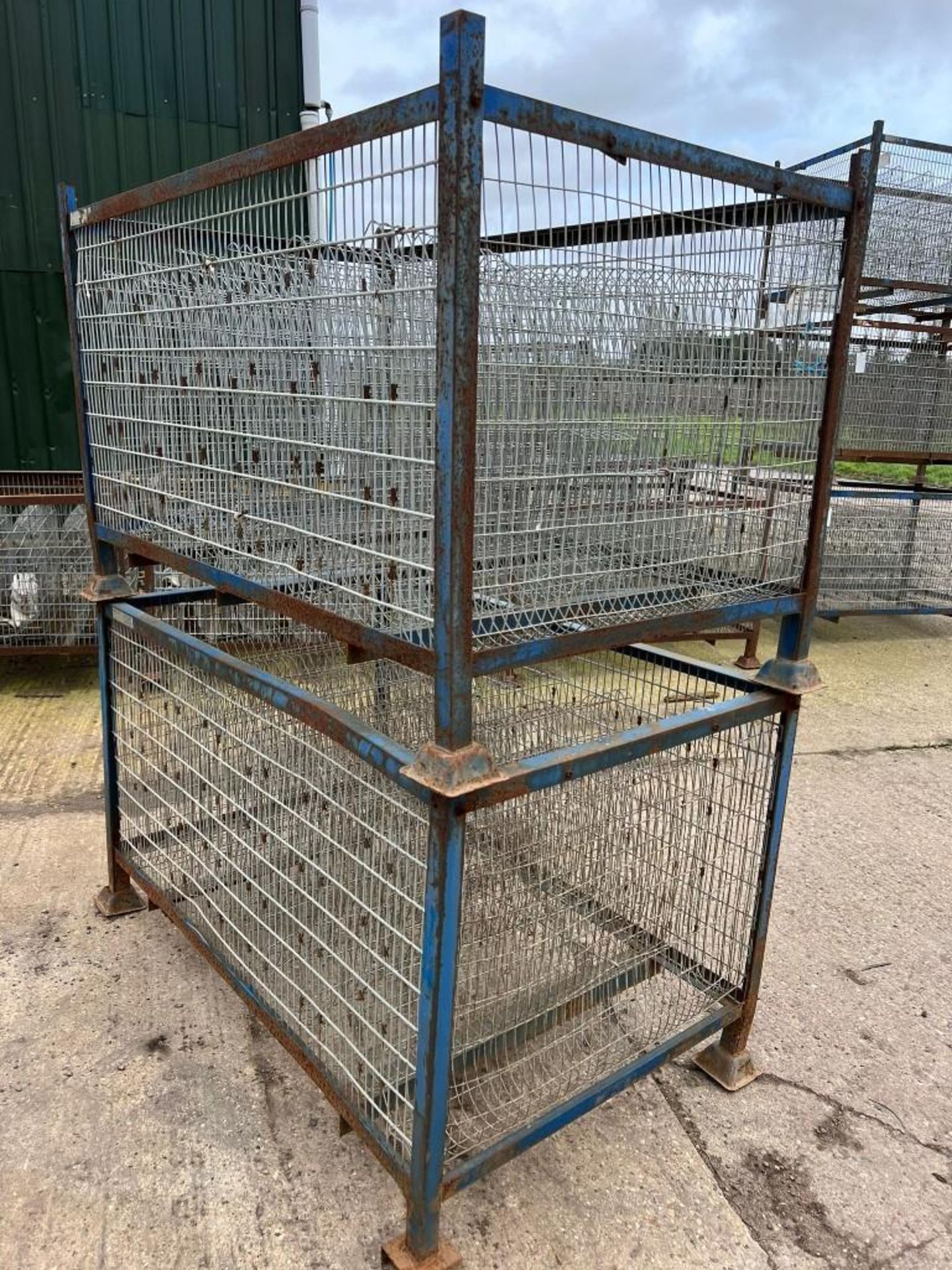 250No. Brayburn Potato Chitting Crates - (Lincolnshire) - Image 6 of 6