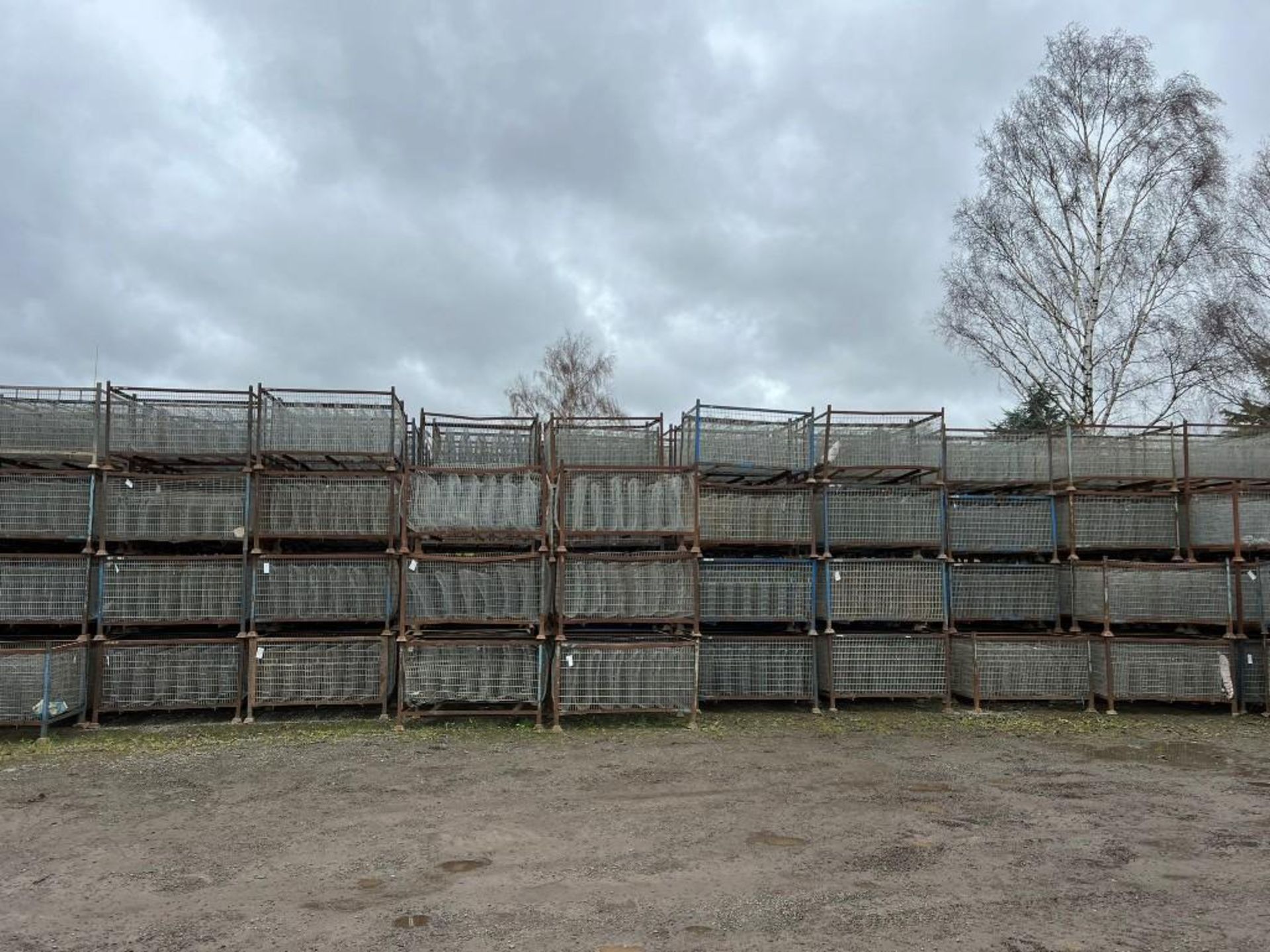 250No. Brayburn Potato Chitting Crates - (Lincolnshire)