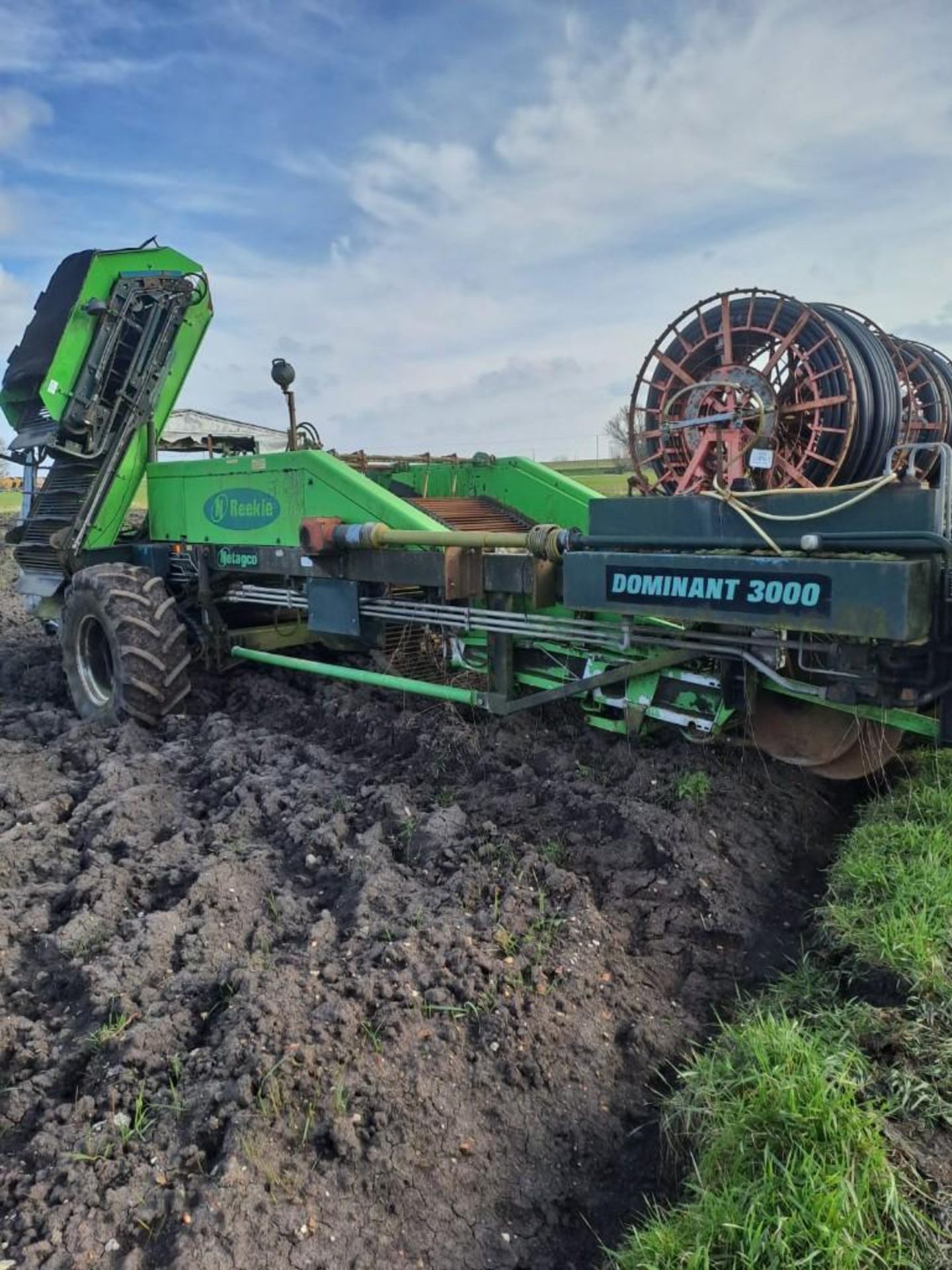 2001 Reekie Dominant 3000 Potato Harvester - (Norfolk) - Image 5 of 16