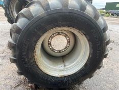 2No. wheels and Tyres - 700/40R22.5 - (Cambridgeshire)