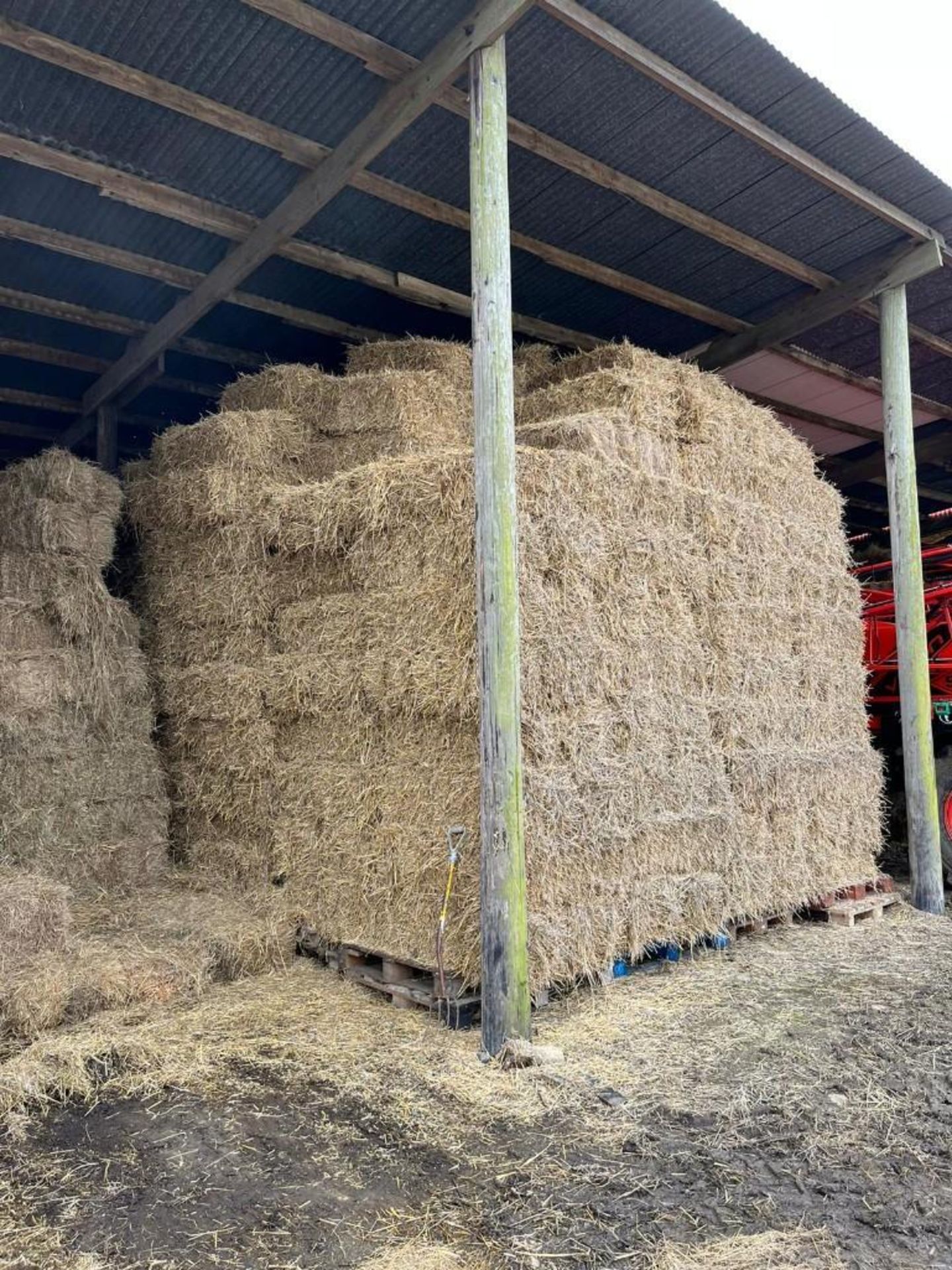 2023 300No. Conventional Straw Bales - (Cambridgeshire) - Image 2 of 3