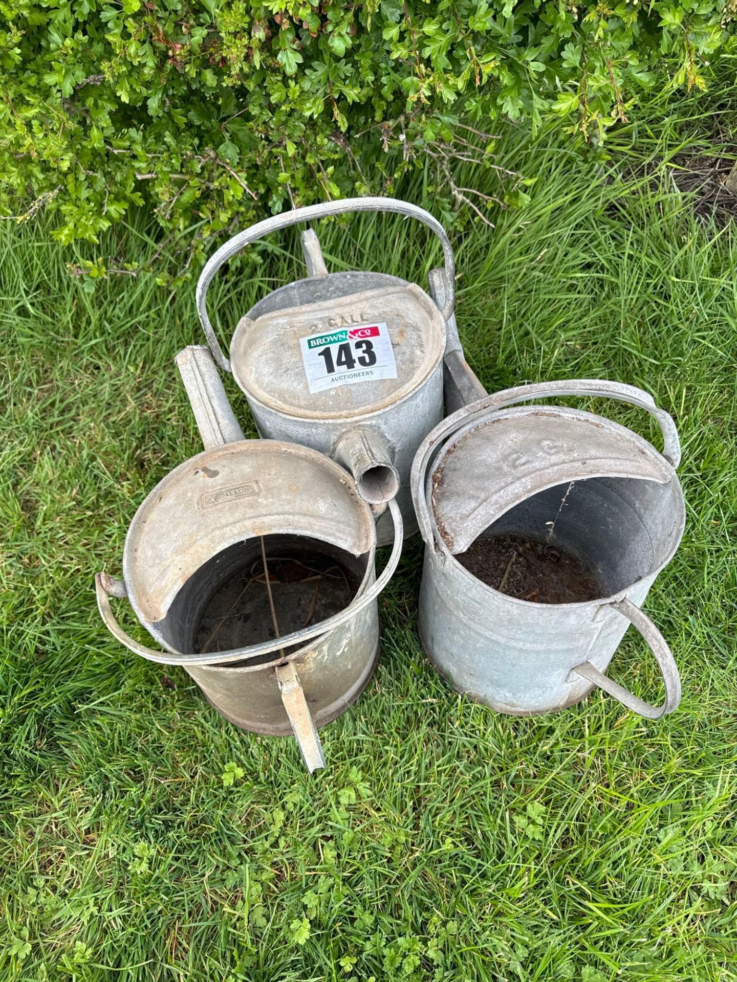 3No watering cans