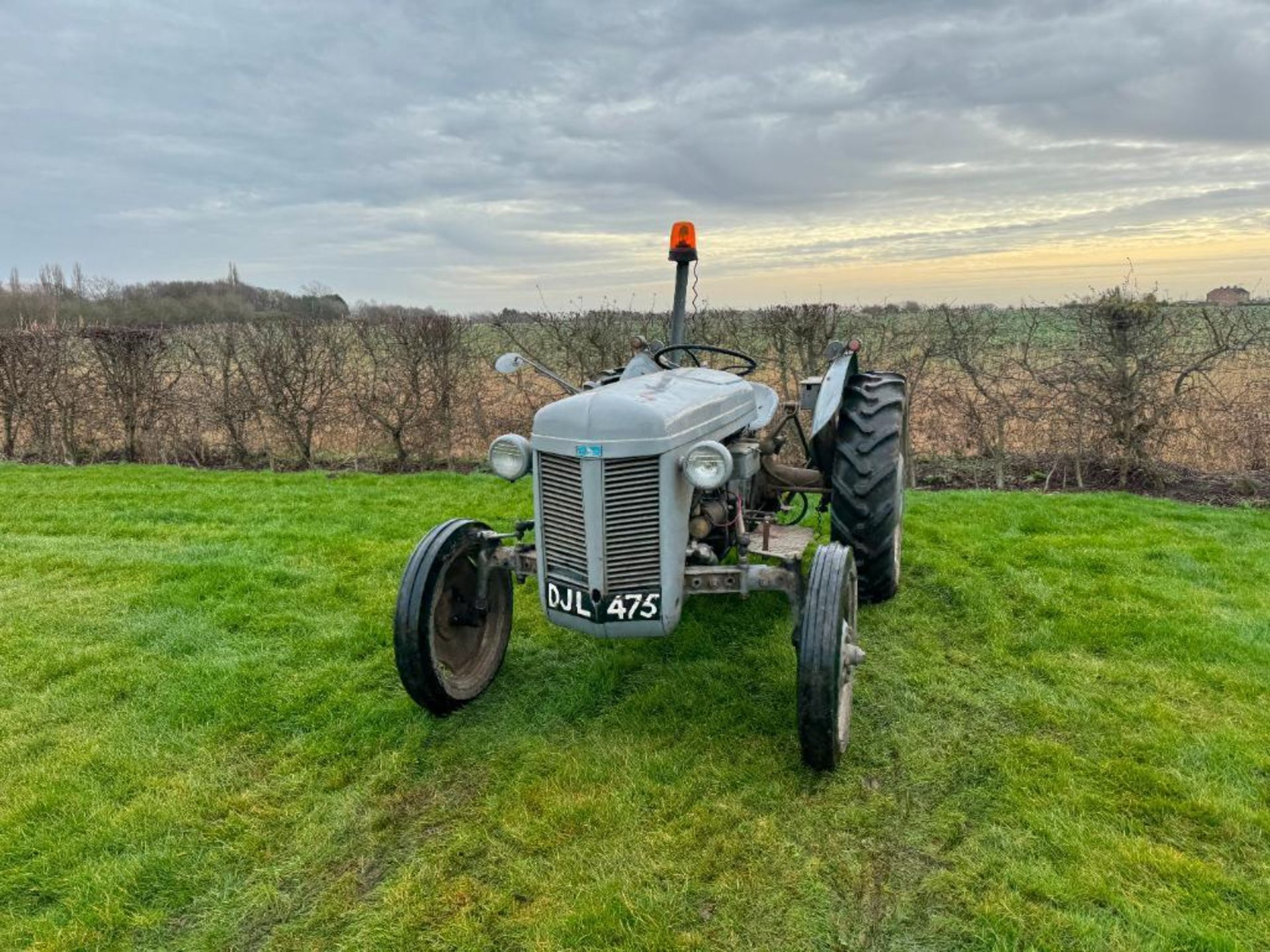 1950 Ferguson TEA 2wd petrol paraffin tractor with rear linkage and hitch on 10-28 rear and 4.00-19 - Image 5 of 19