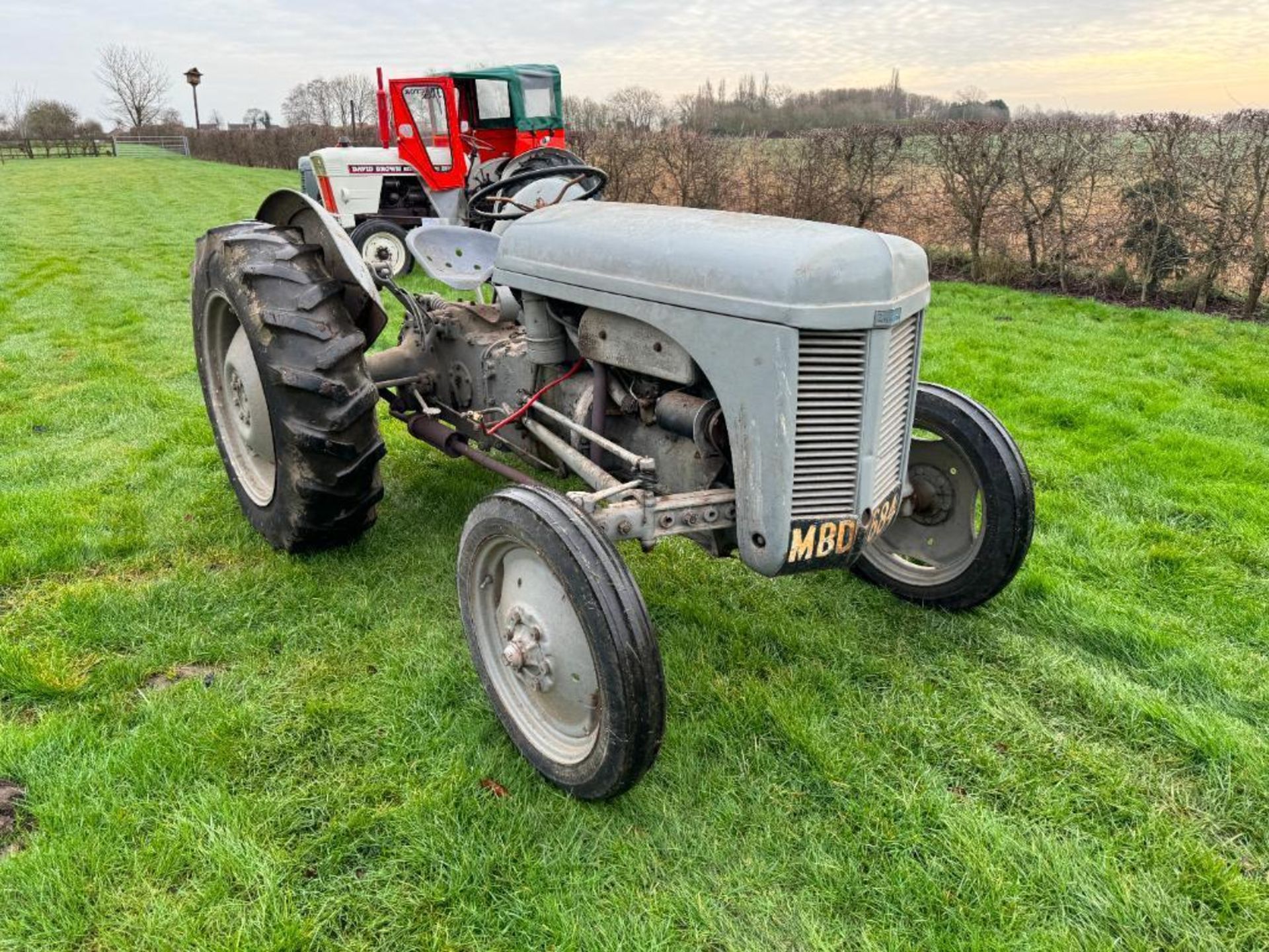 1955 Ferguson TED 2wd petrol paraffin tractor with underslung exhaust and linkage on 12.4-28 rear an - Image 6 of 11