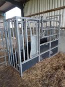 Bateman galvanised cattle crush