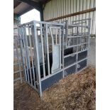 Bateman galvanised cattle crush