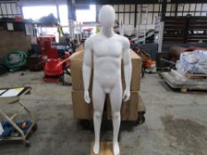 Male Mannequin