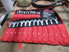 25pc Spanner Set