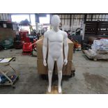 Male Mannequin