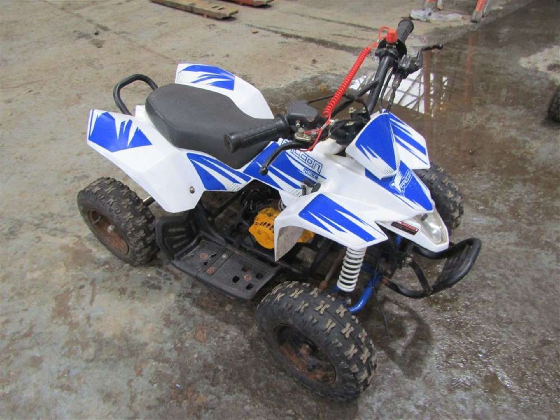 Falcon 50cc Childs Quad Bike