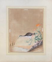 A late 19th/early 20th century Chinese gouache on paper of a waterbird, 44x35cm