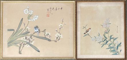 Two Chinese gouache on silk paintings depicting birds amongst foliage, 30x38cm and 31x26cm (2)