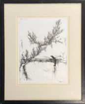 Edward Twohig (b.1969), dry point etching, man beside pond. Signed in pencil. 22x16cm.