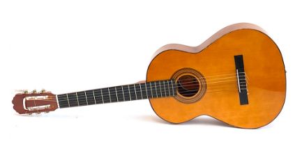 Almeria BM acoustic guitar, in a Stag soft case