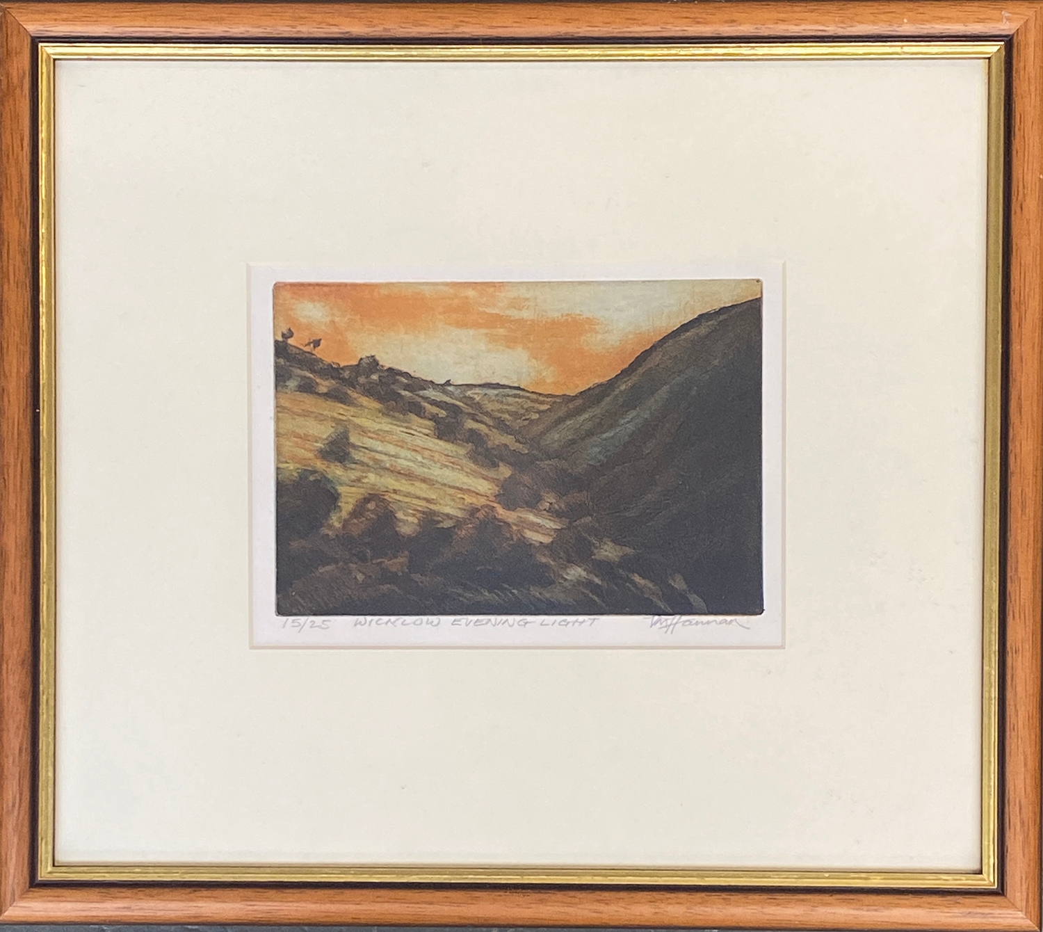 20th century coloured etching, 'Wicklow Evening Light', signed and numbered 15/25, signed V M