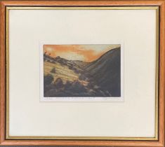 20th century coloured etching, 'Wicklow Evening Light', signed and numbered 15/25, signed V M