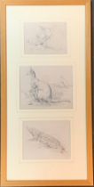 Three pencil drawings mounted in a frame, comprising a dog, 12x16cm and kangaroo, 16x20cm, signed