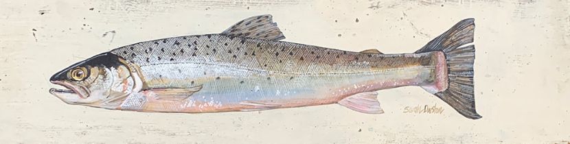 Sarah Durston, oil on panel, study of a trout, 27x97cm