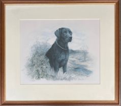 James Rowley, limited edition print of a black labrador, numbered 639/850, 40x49cm