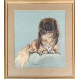 Marjorie Cox (1915-2003), pastel study of a Pekingese, signed and dated 1966, 45x40cm