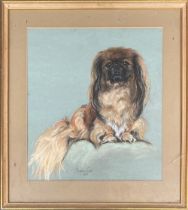 Marjorie Cox (1915-2003), pastel study of a Pekingese, signed and dated 1966, 45x40cm