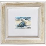 Antonia Phillips, 'The Big Scratch', watercolour of a seal, 9x12cm